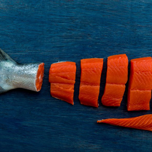 Salmon fillets