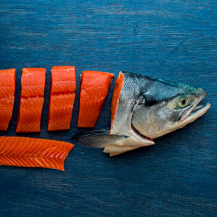 Alaska Salmon fillets